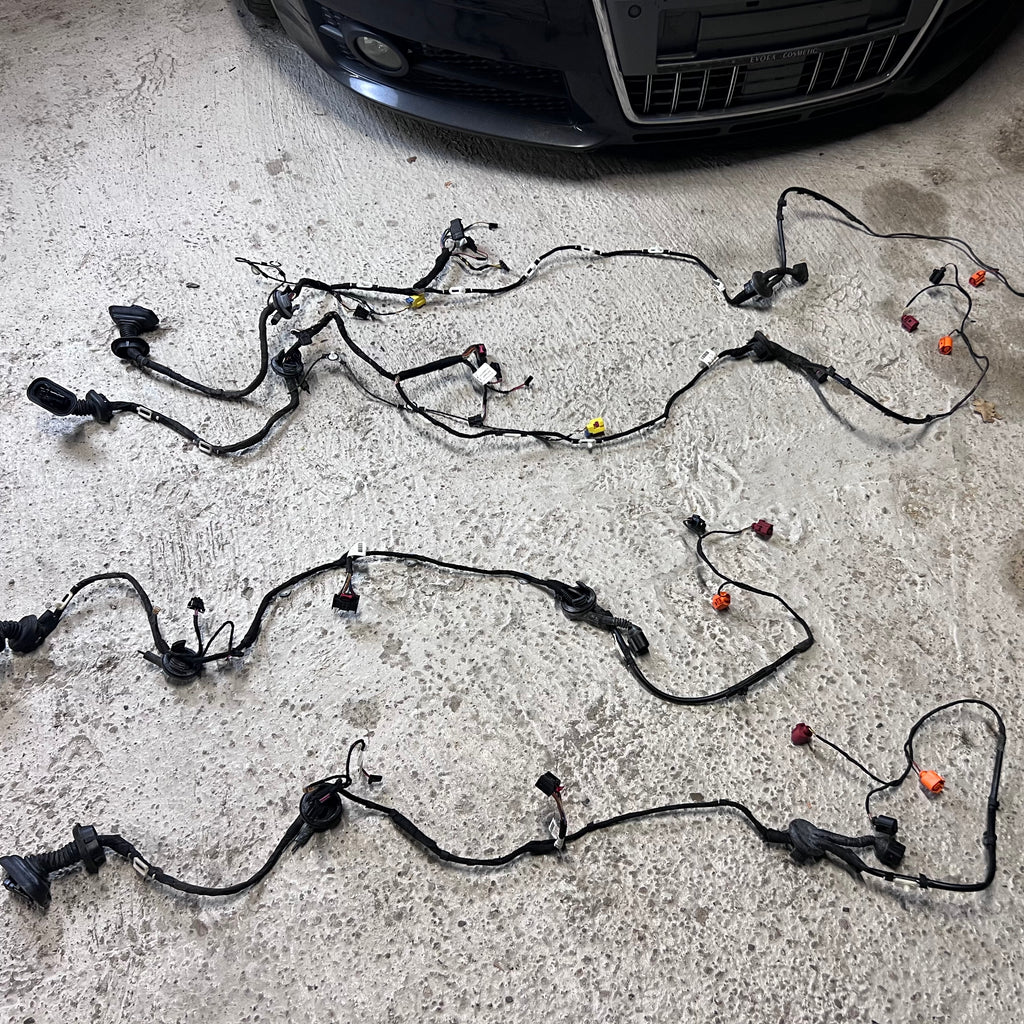 Audi A6 4F KeylessGo Türkabelbäume
